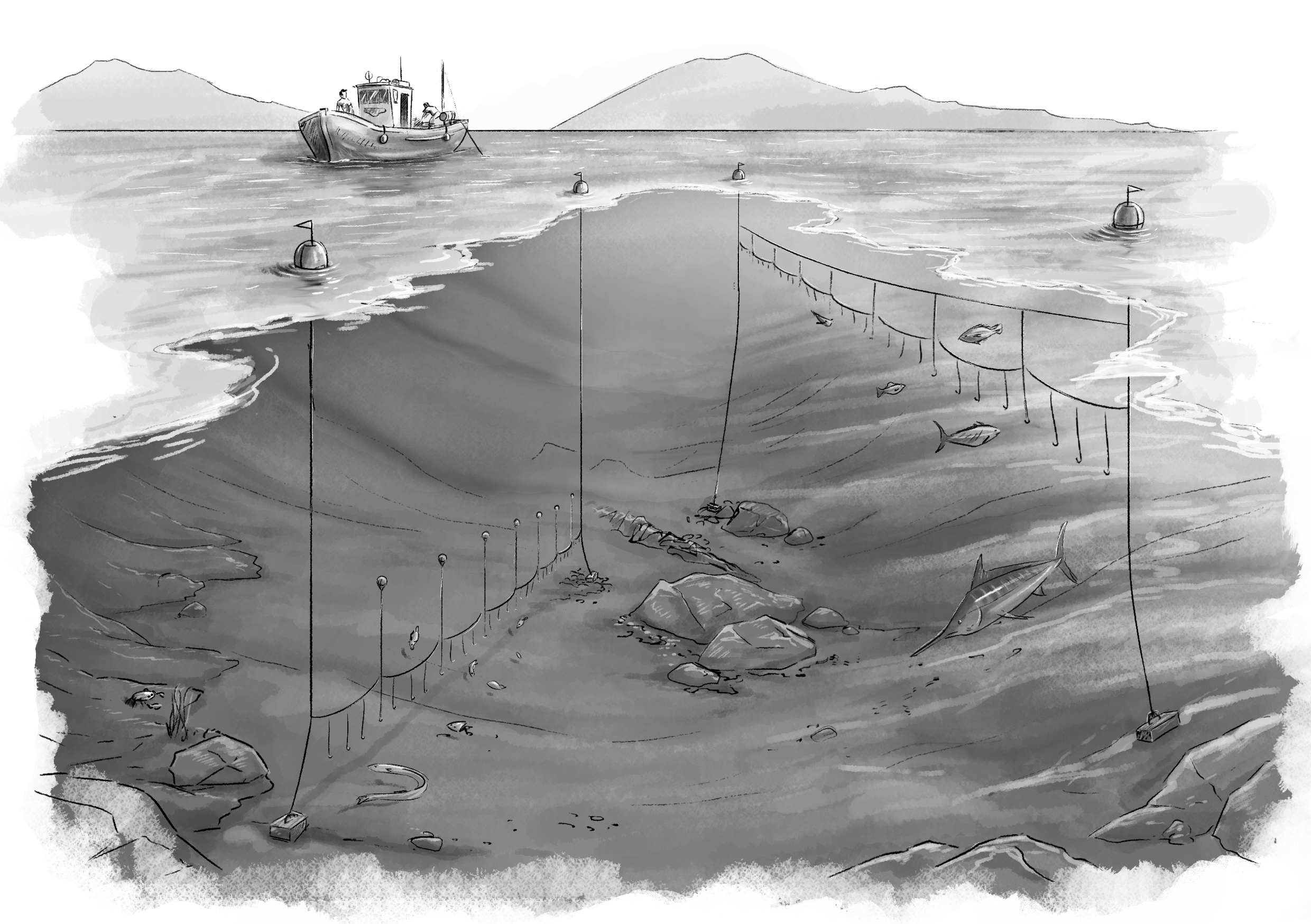 Panel10_arte_palangre_AF