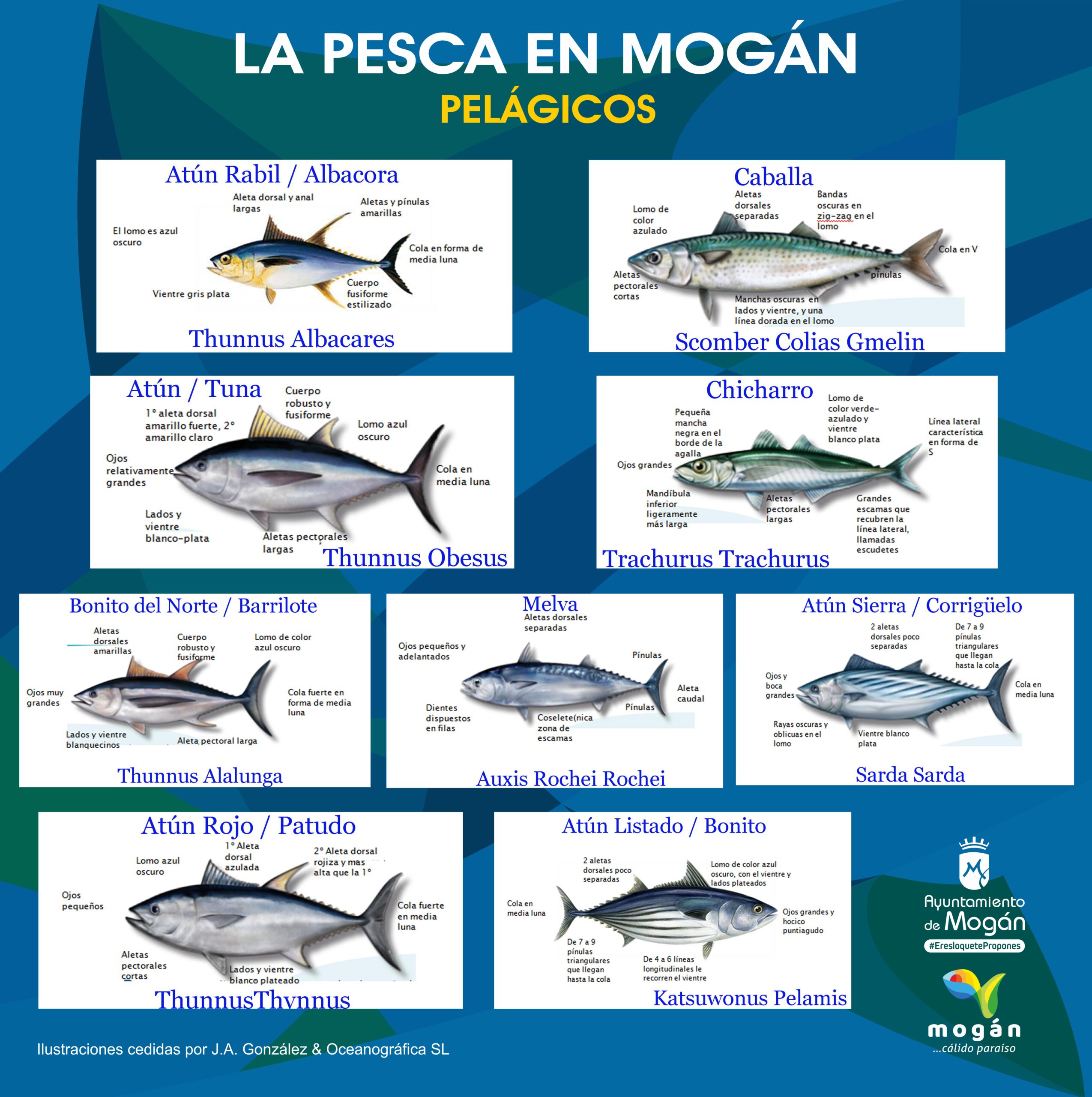 Panel15_Panel FIMAR 2018 - 180X180 - La Pesca en Mog+ín