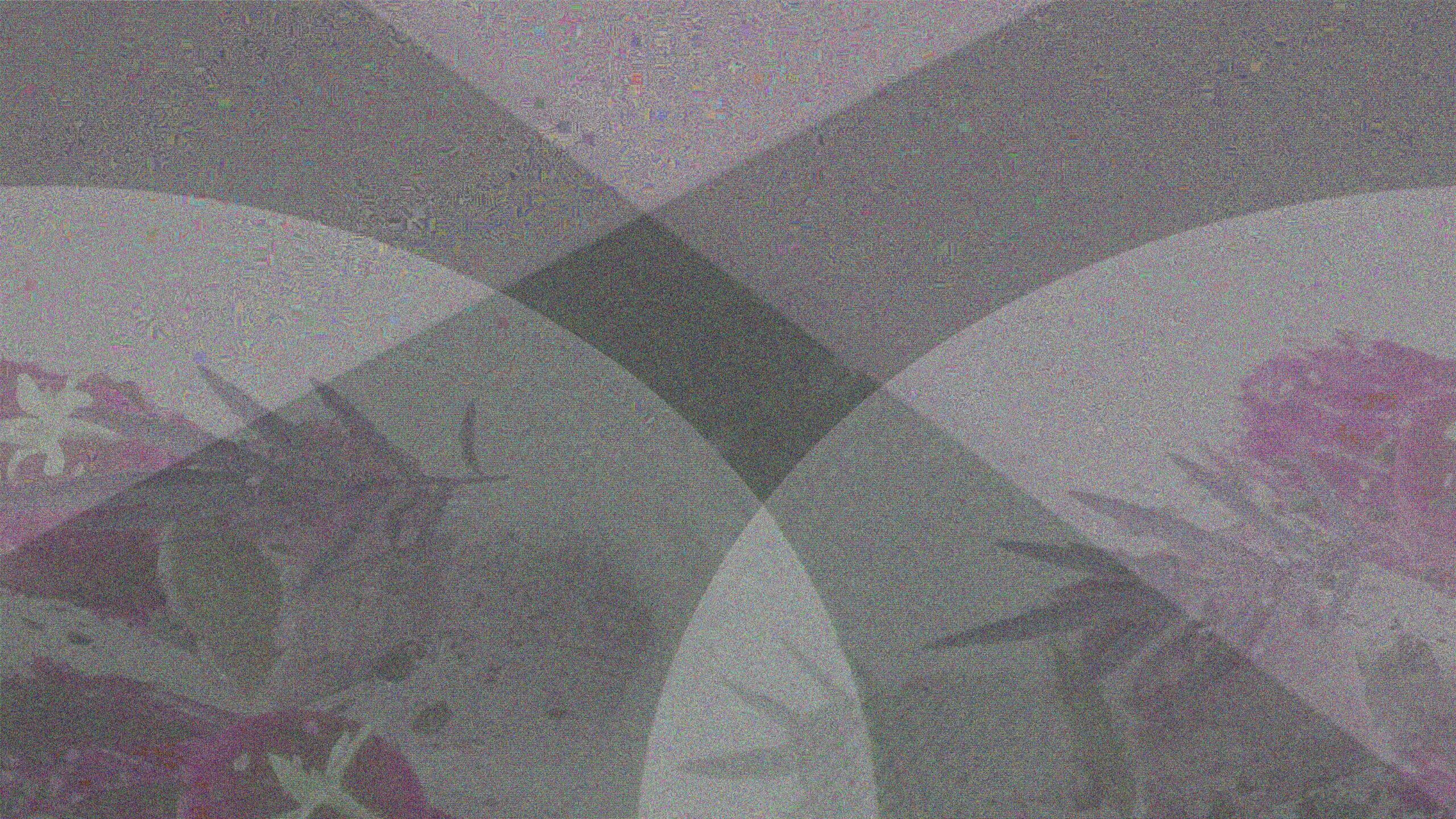 Panel18_PLATO BRAULIO