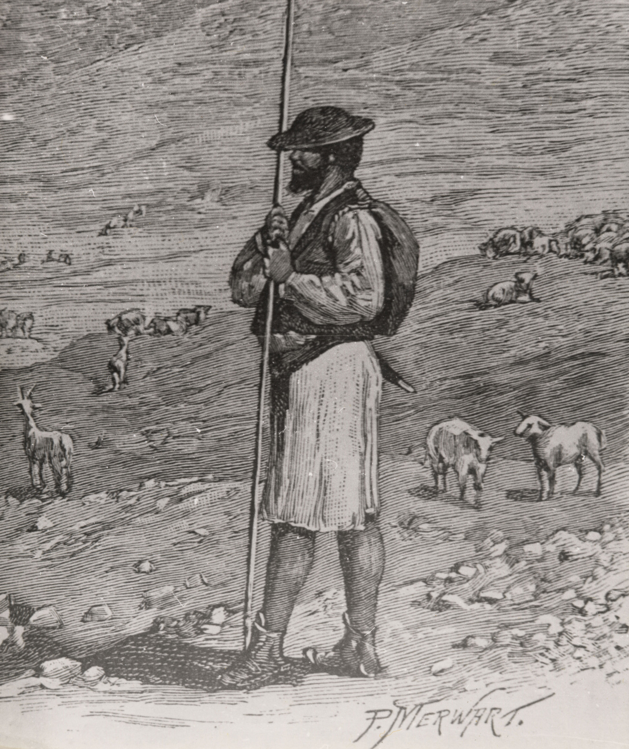 Panel3_pastor moganero