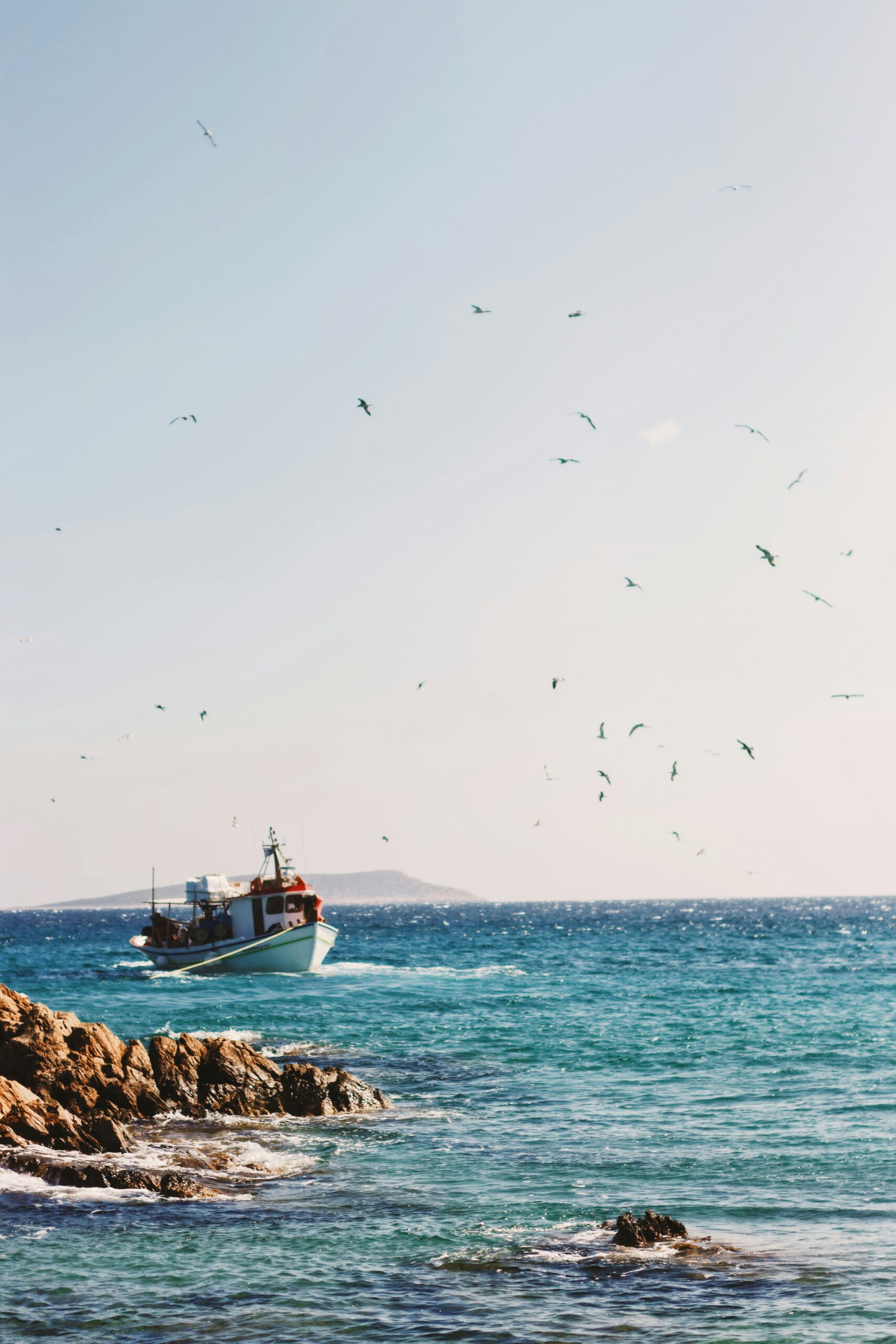 Panel7_alex-voulgaris-8i7ul5t9Ass-unsplash