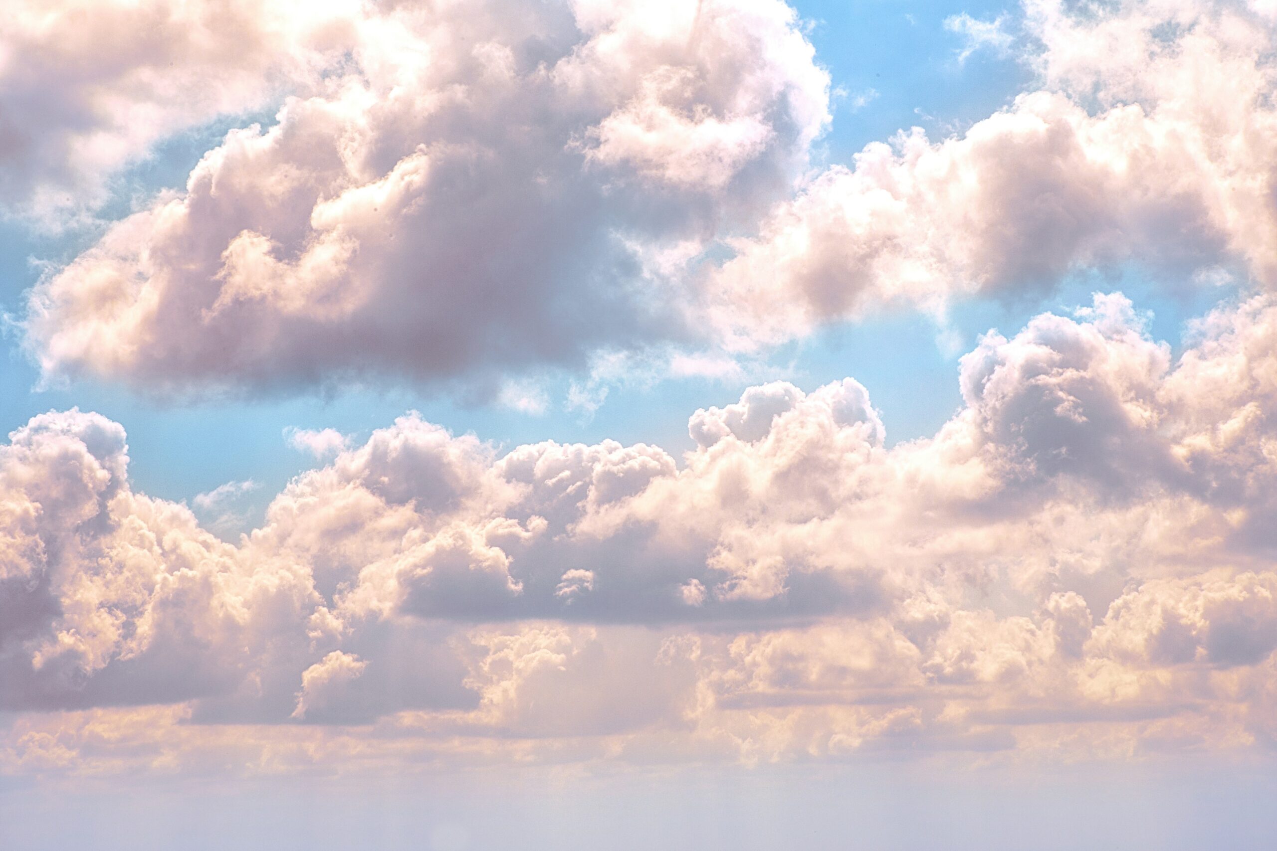 Panel7_billy-huynh-v9bnfMCyKbg-unsplash