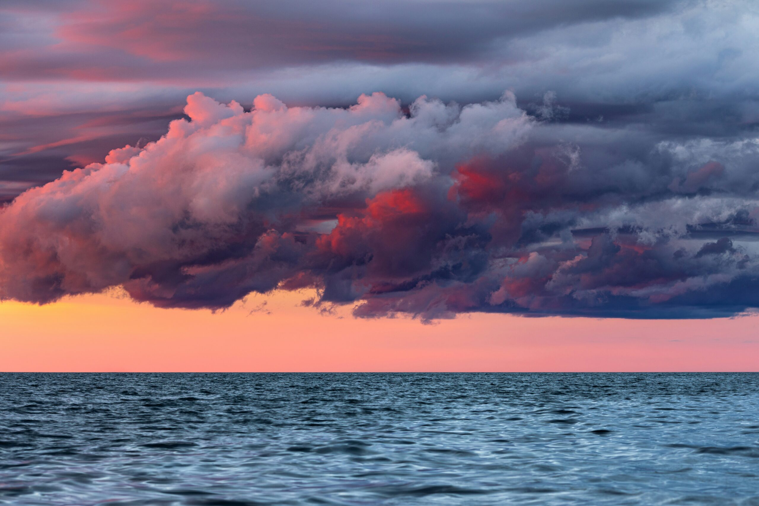 Panel7_dave-hoefler-4pvfpUkmR6I-unsplash