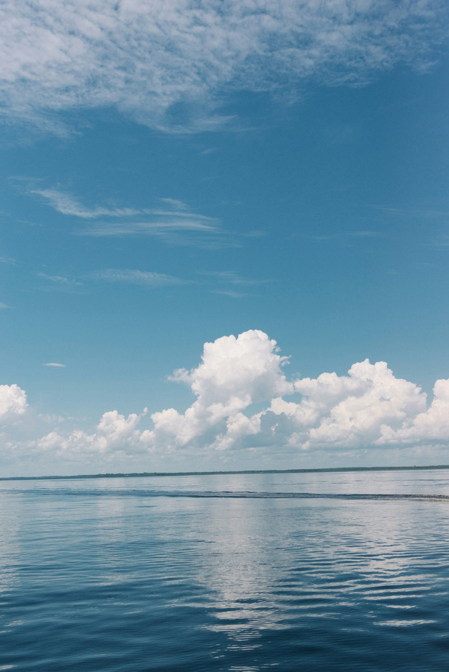 Panel7_nathalia-segato-iAk_yM7r8iE-unsplash