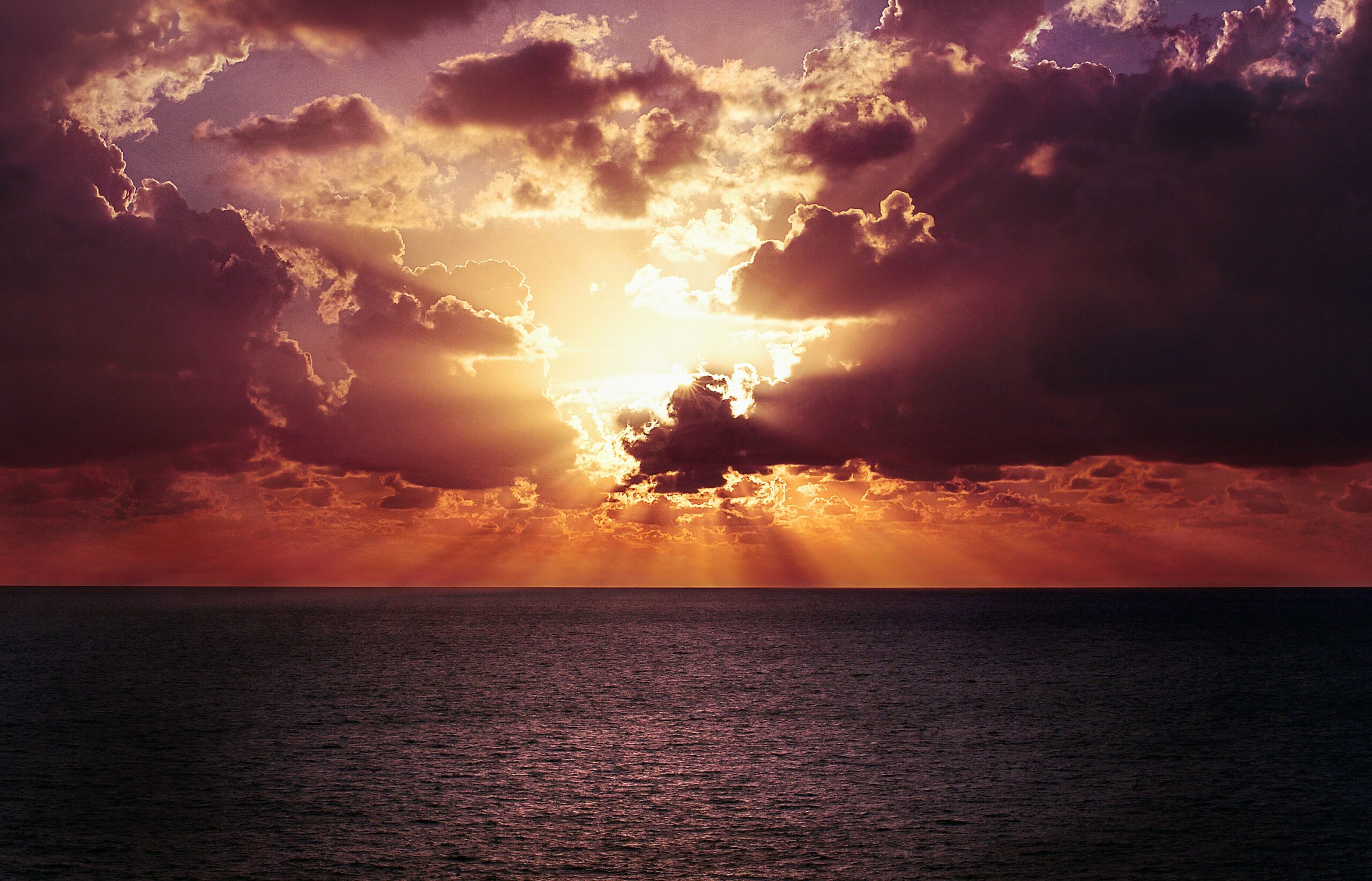 Panel7_nick-scheerbart-8DMuvdp-vso-unsplash