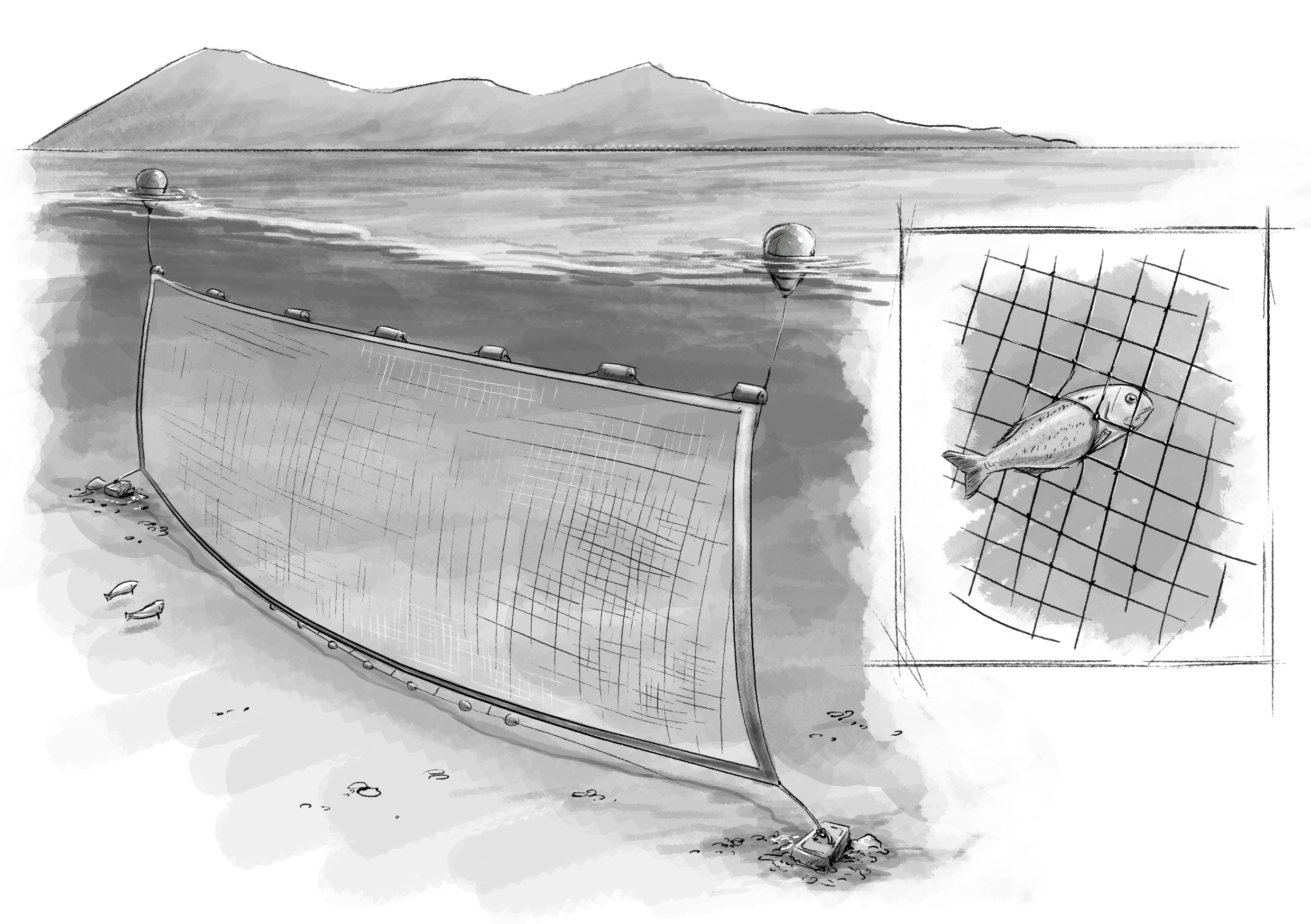 Panel9_arte_cazonal o trasmallo_AF